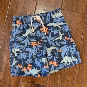 Baby Gap Boys 2t Tropical Dinosaur Swim Trunks